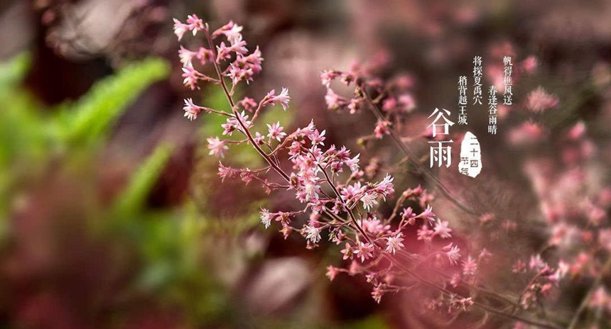 4.19【毓·文化】谷雨丨春夏之交,雨生百谷1108.jpg